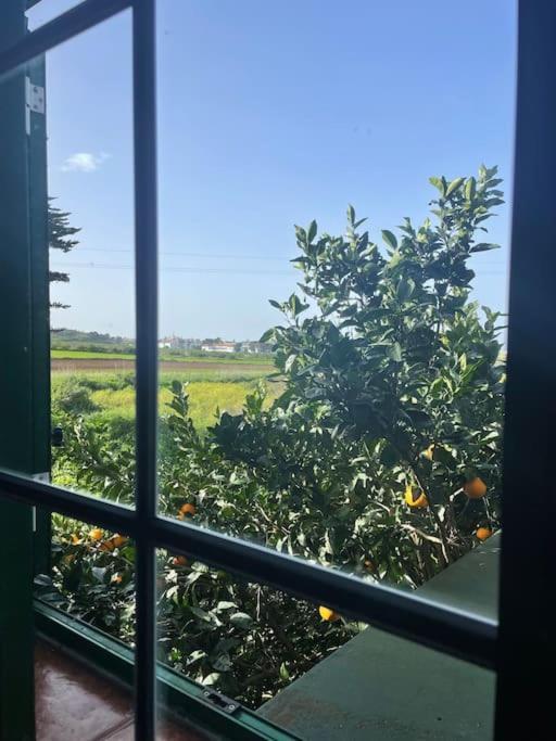La Macadamia Villa La Laguna  Kültér fotó